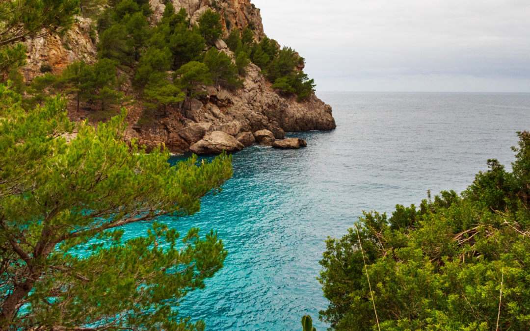 Mallorca – a gyógyító sziget